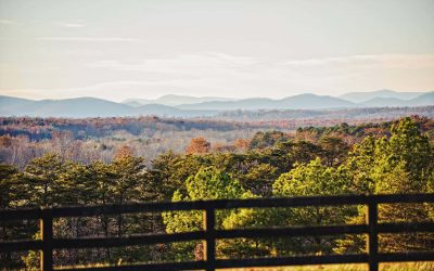 Charlottesville Real Estate First Quarter and What We Can Expect This Season