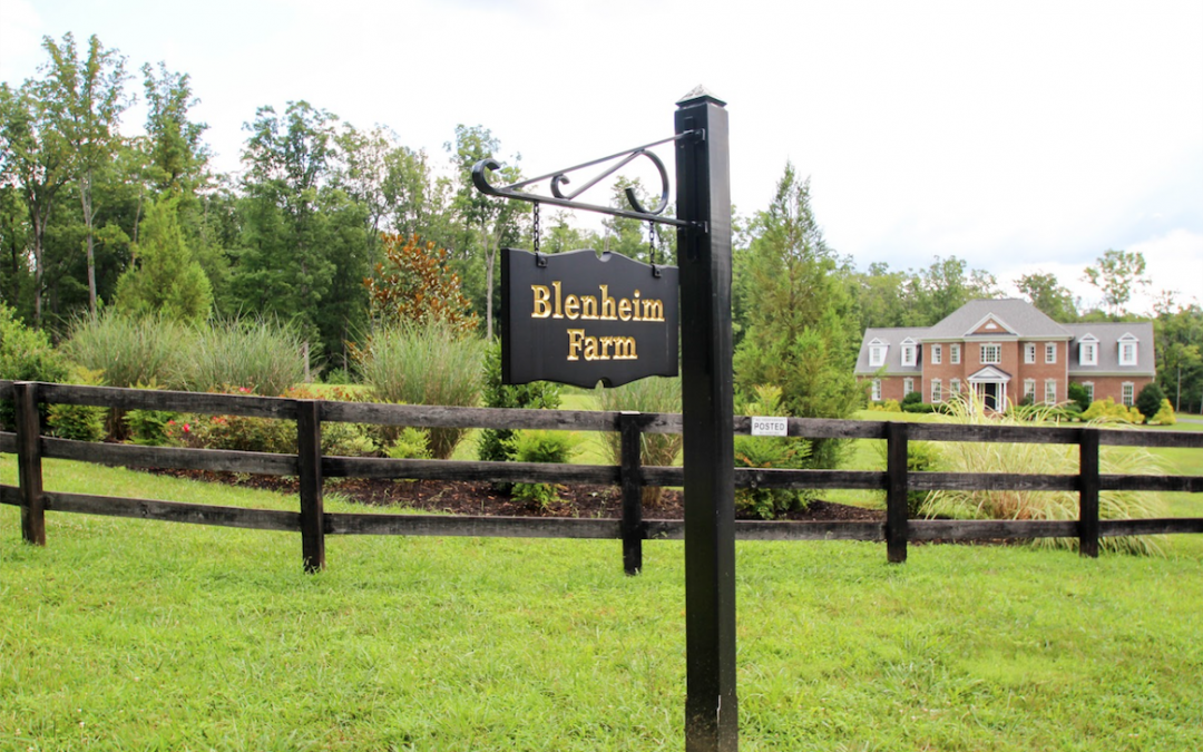 Blenheim Farm